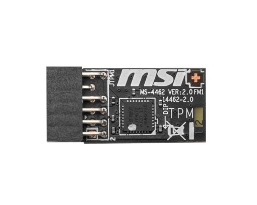 Third Image: TPM 2.0 (MS-4462)