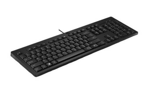 HP 125 Wired Keyboard - Compatible with Windows 10, Desktop PC, Laptop, Notebook USB Plug and Play Connectivity, Easy Cleaning 1YR WTY | 266C9AA