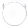 First Image: CAT6THINWH-15M