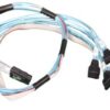First Image: CBL-0237L