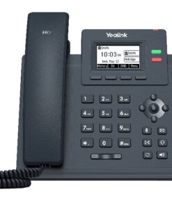 Second Image: SIP-T31P