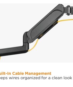 Fourth Image: LDT48-C024