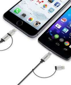 Fourth Image: ICAB21-1S