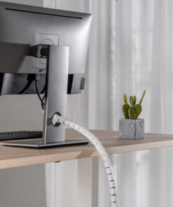 Fourth Image: HC-20-W