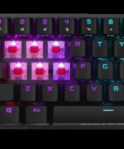 Third Image: ROG FALCHION NX/NXRD