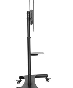 Second Image: TTL06H-610TW