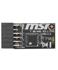 Second Image: TPM 2.0 (MS-4462)
