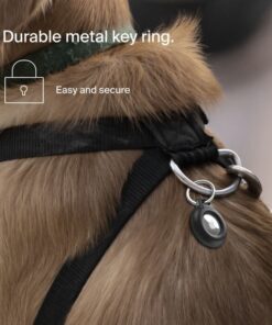 Fourth Image: MSC014btBK