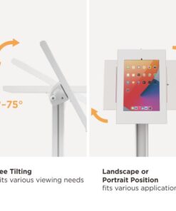 Third Image: PAD34-03