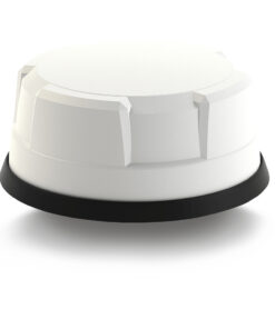 First Image: LG-IN2445-W-LC