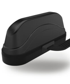 First Image: LGAMM-7-27-24-58-1