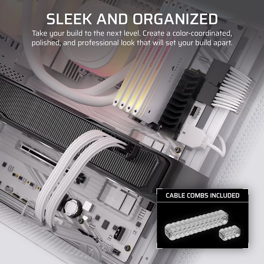 Third Image: CP-8920374