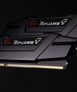 First Image: F4-2666C19D-64GVK