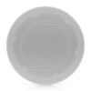 First Image: UACC-In-Ceiling-Speaker